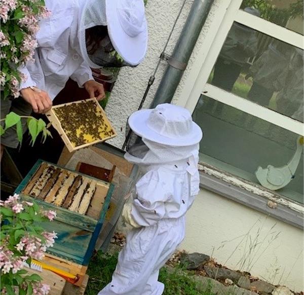 Kinder betrachten die Bienenstöcke